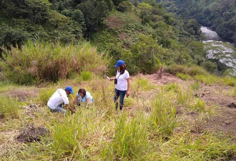 פנסיון Campestre El Triunfo