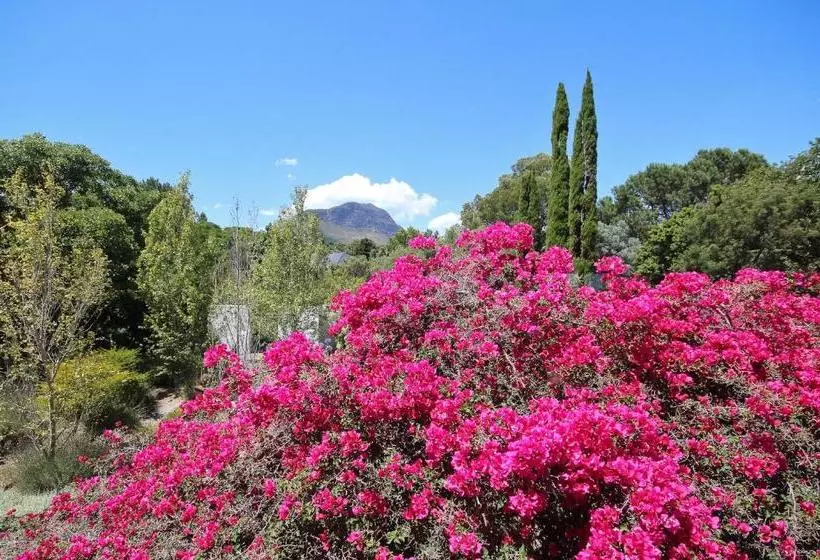 Majatalo Montrose Guesthouse