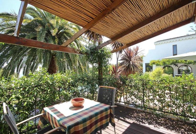 بنسيون Montrose Guesthouse