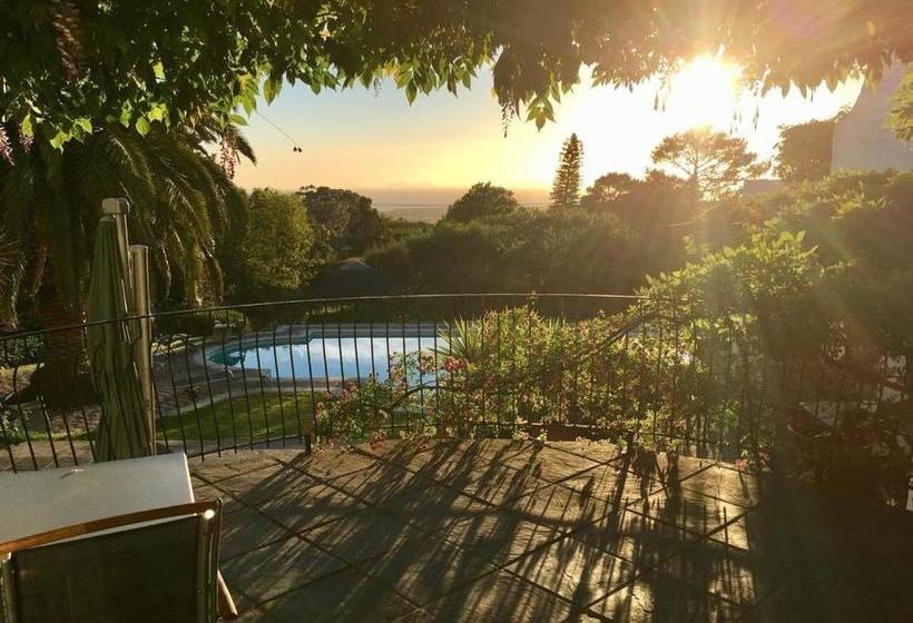 بنسيون Montrose Guesthouse