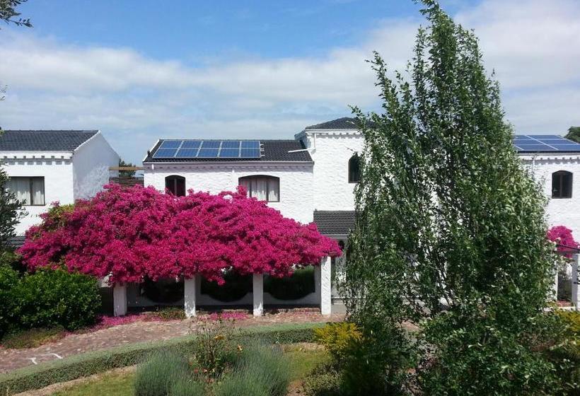 بنسيون Montrose Guesthouse