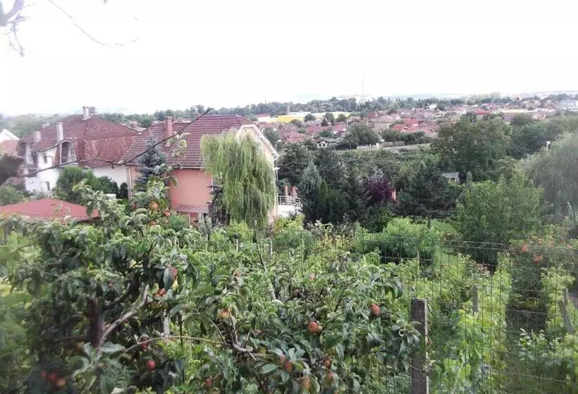 Pensiunea Raze De Soare