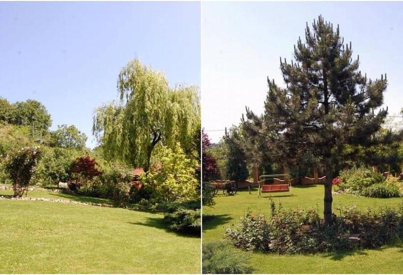 Pensiunea Raze De Soare