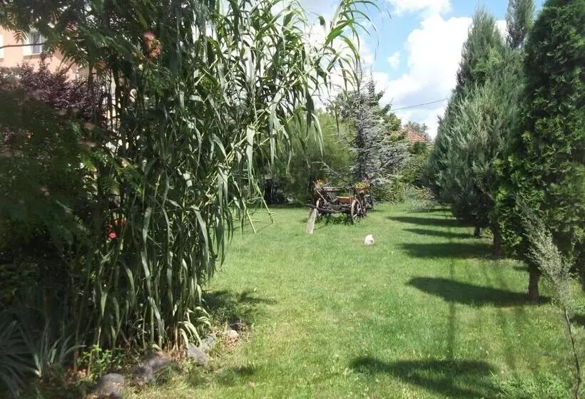 Pensiunea Raze De Soare