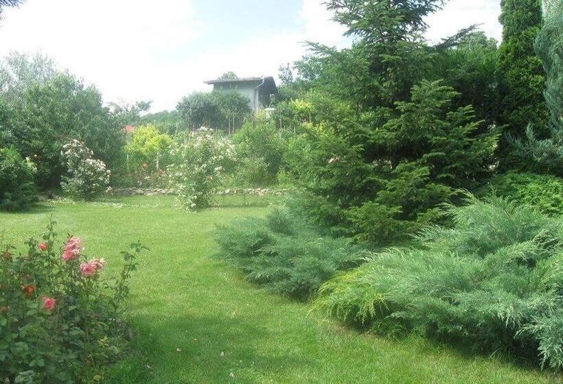 Pensiunea Raze De Soare