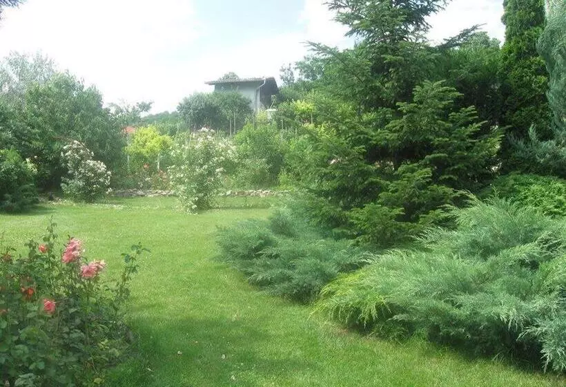 Pensiunea Raze De Soare