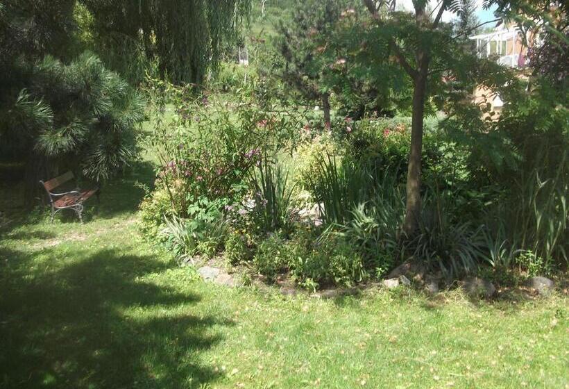 Pensiunea Raze De Soare