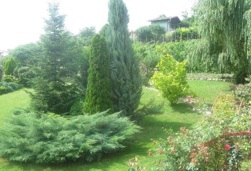 Pensiunea Raze De Soare