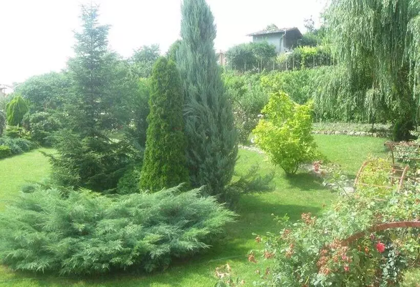 Pensiunea Raze De Soare