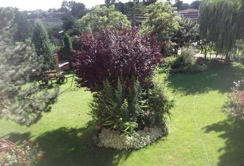 Pensiunea Raze De Soare