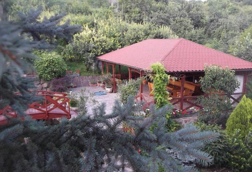 Pensiunea Raze De Soare