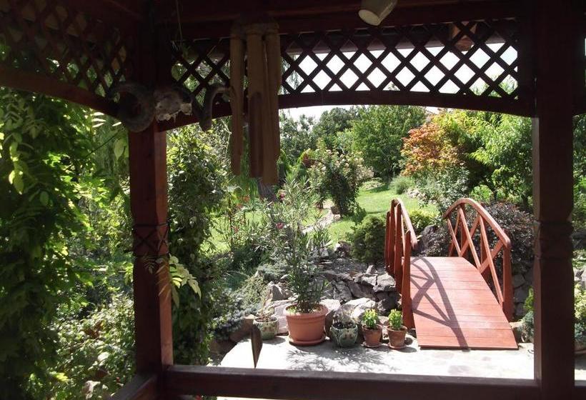 Pensiunea Raze De Soare