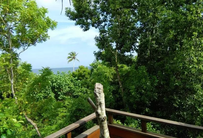 پانسیون Cinnabar Resort