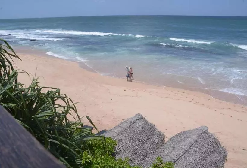 پانسیون Cinnabar Resort