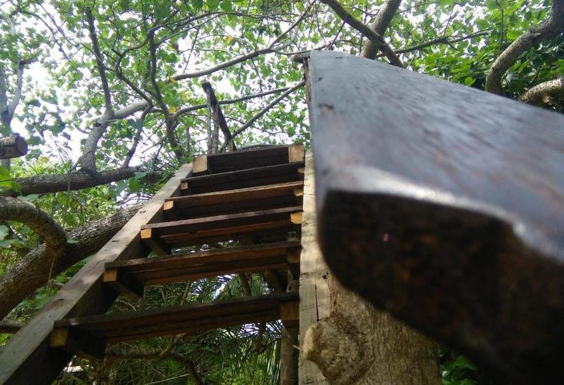 膳宿费 Cinnabar Resort