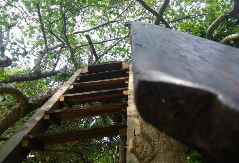 پانسیون Cinnabar Resort