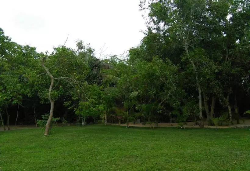 پانسیون Cinnabar Resort