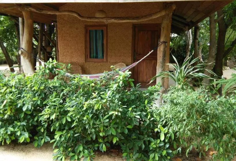 پانسیون Cinnabar Resort