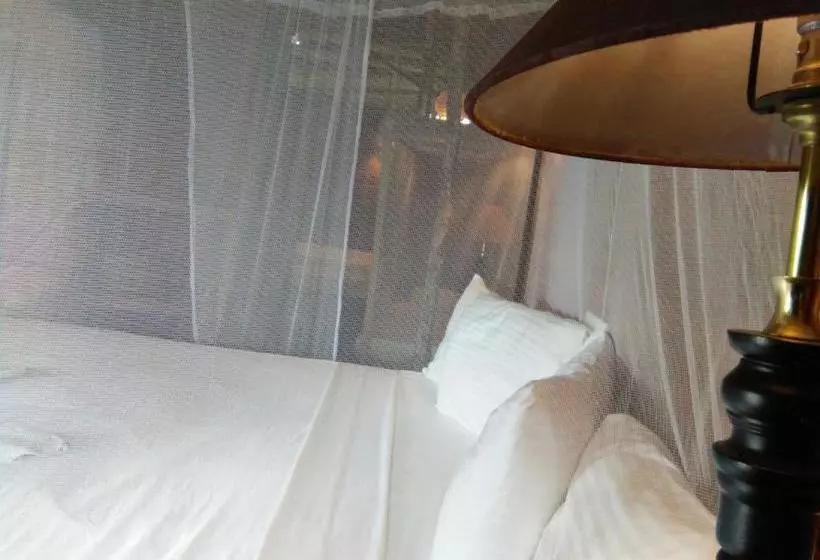 پانسیون Cinnabar Resort