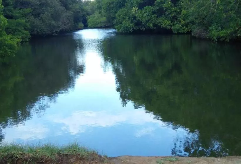 پانسیون Cinnabar Resort