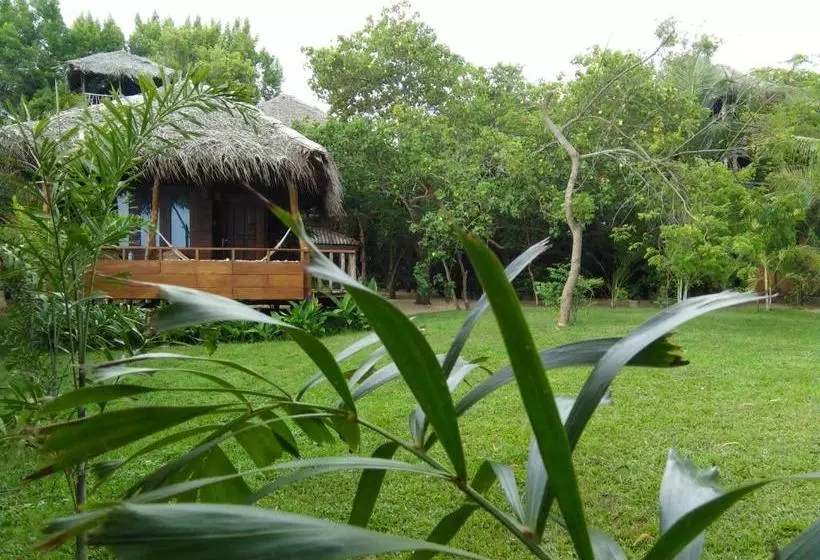 پانسیون Cinnabar Resort