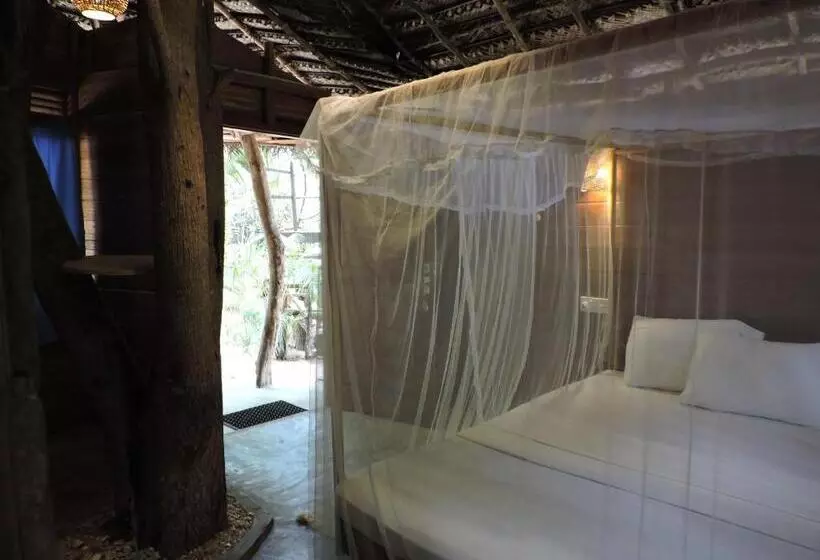 پانسیون Cinnabar Resort