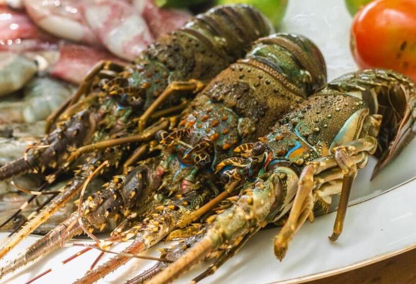 膳宿费 Cinnabar Resort