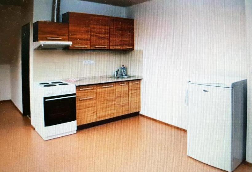 פנסיון Ubytování U Františka