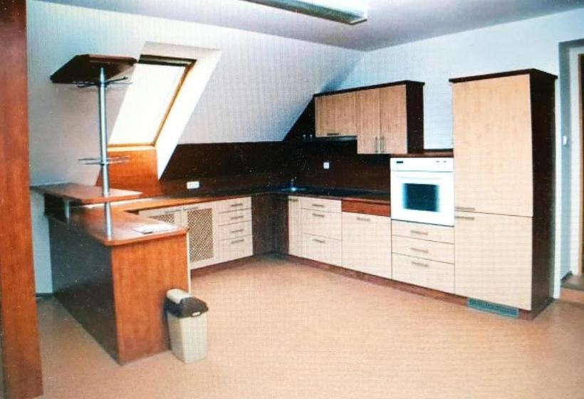 פנסיון Ubytování U Františka