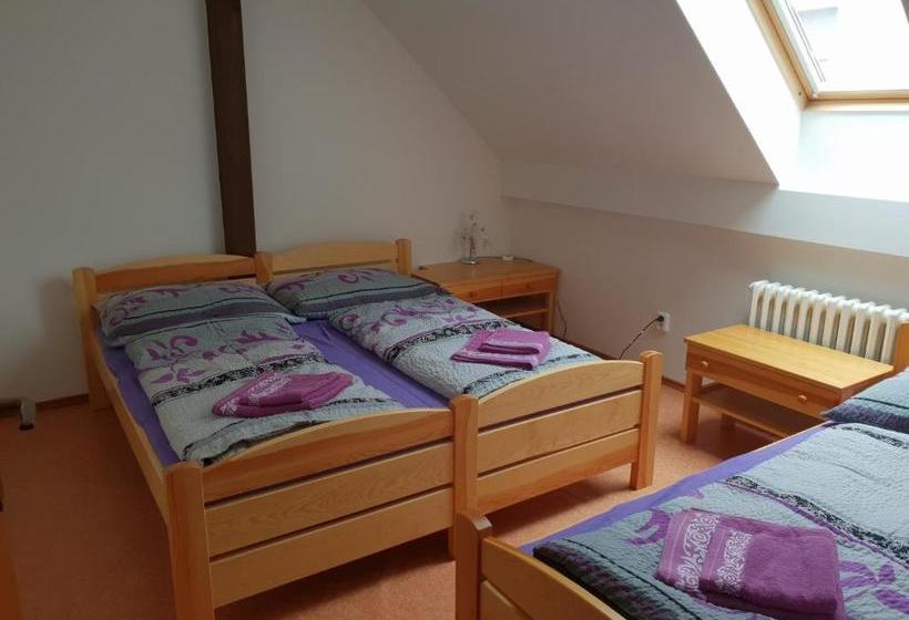 פנסיון Ubytování U Františka