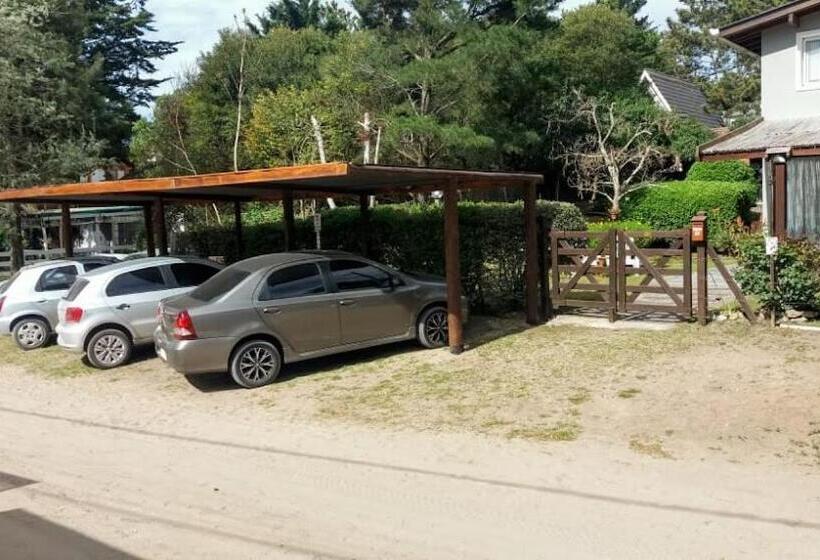 هاستل Dandy Suites