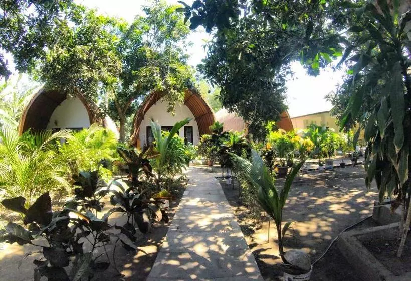 ペンション Ina Gili Guesthouse