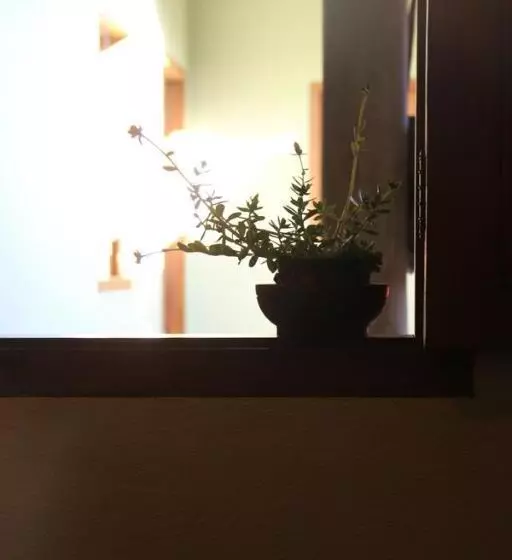 ペンション Pousada Solar