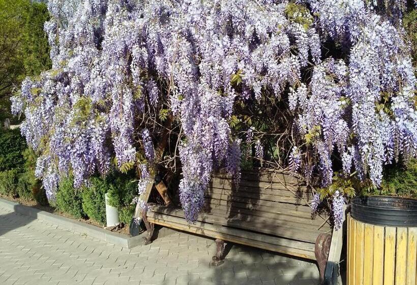 پانسیون Shushan Guest House