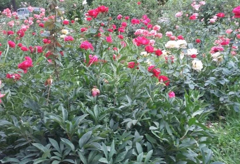 پانسیون Shushan Guest House