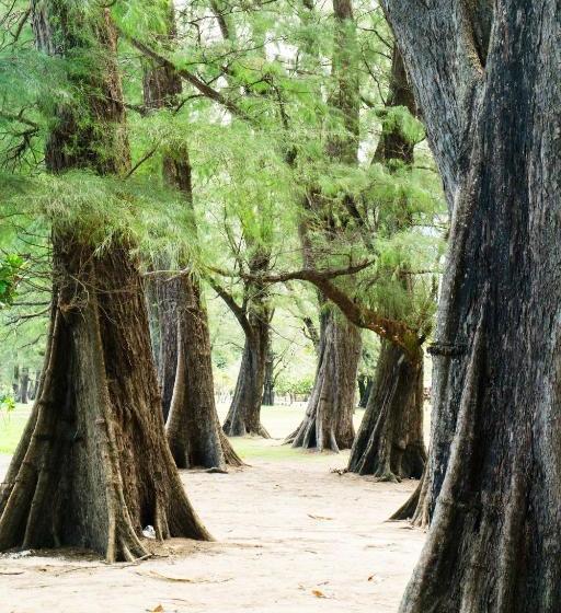 Happy Place Official