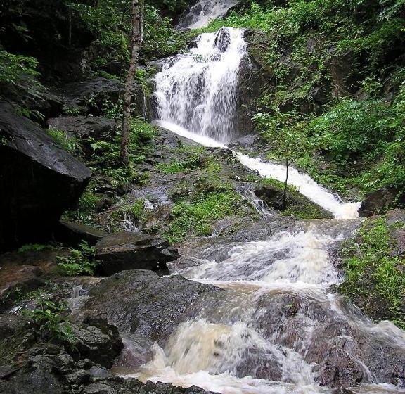 Happy Place Official