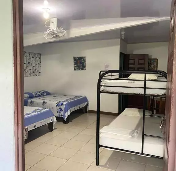 Blue Morpho House B&b