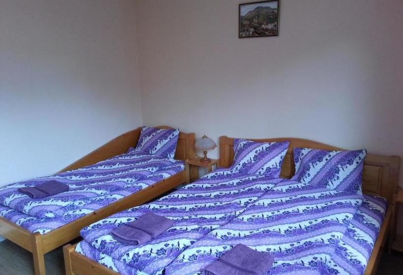 Pensjonat Guest House Zora
