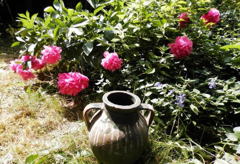 Pensjonat Guest House Zora