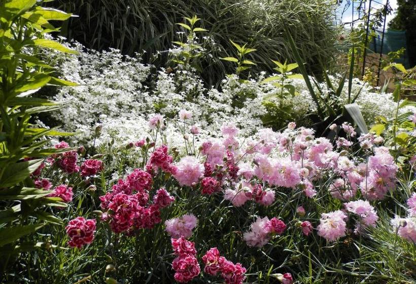 Pensjonat Guest House Zora