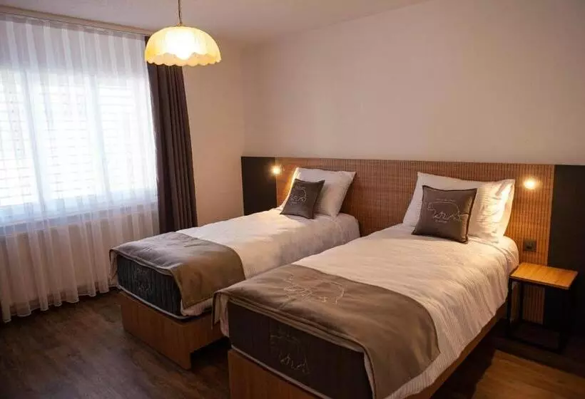 پانسیون Hôtel De L Ours