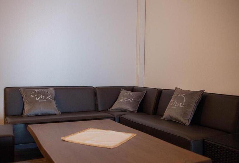 بنسيون Hôtel De L Ours