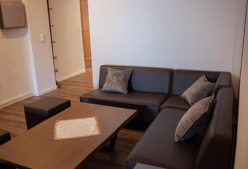 بنسيون Hôtel De L Ours