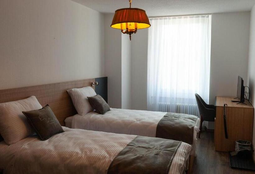 بنسيون Hôtel De L Ours