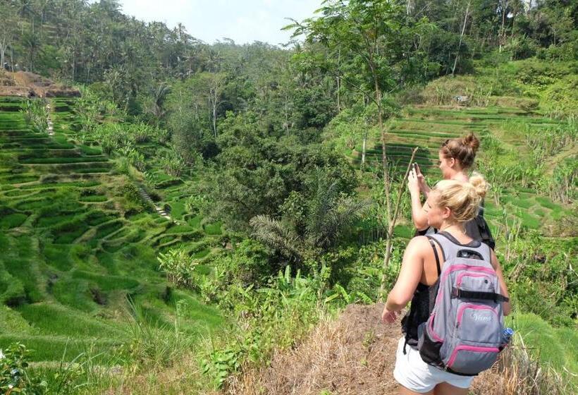 膳宿费 Bersila La Maison Du Bonheur