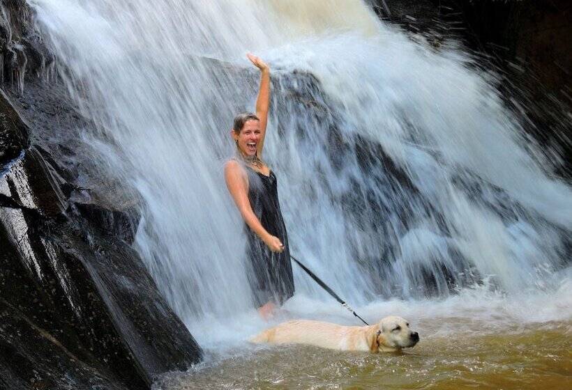 펜션 Villa Aye Pousada Boutique Petfriendly Antigo Chalés Santa Catarina