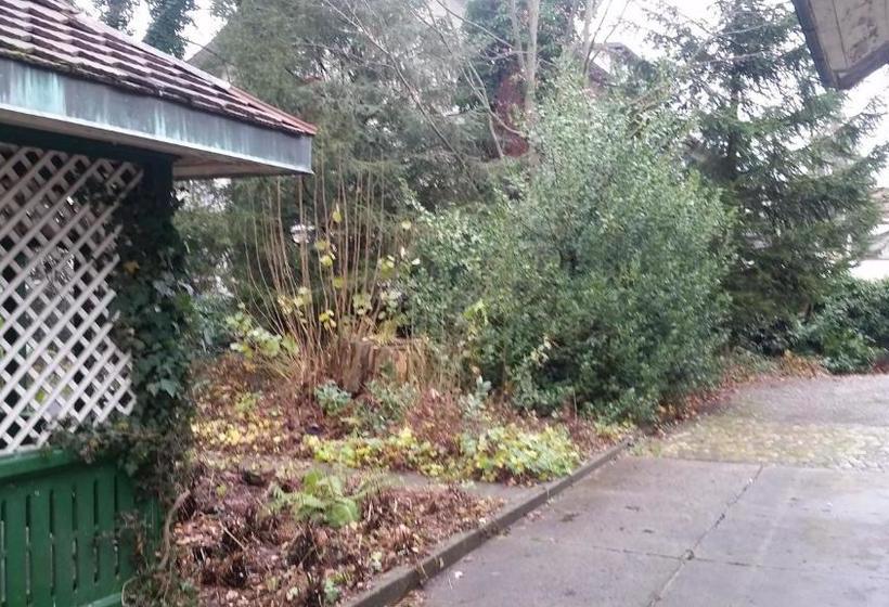 Pension Good Bed Reiden