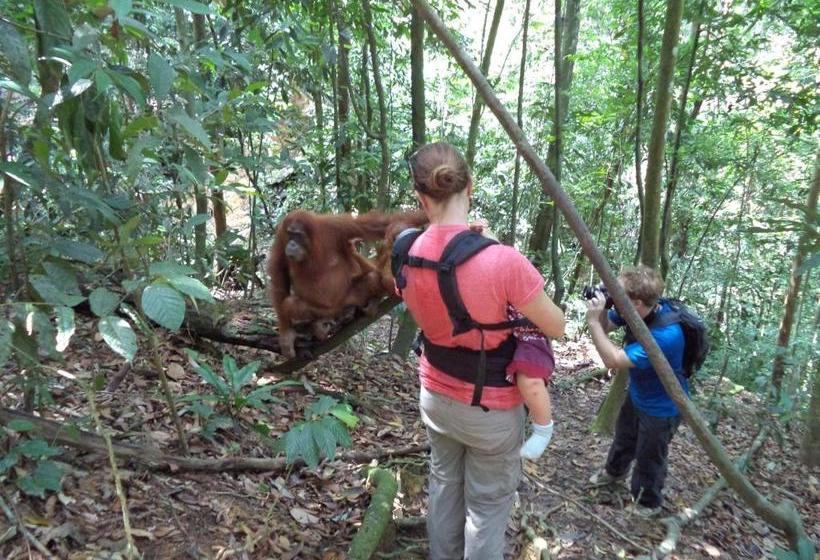 بنسيون Ida Guest House & Jungle Trekking