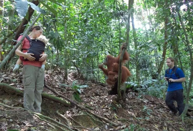 Majatalo Ida Guest House & Jungle Trekking